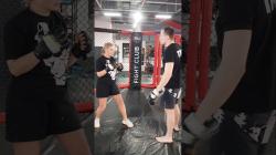 Best Boxing Streams Online for Free HD Fight Nights